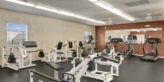 Motif Apartment Homes Gallery 19