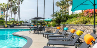 Ocean Club Gallery 15