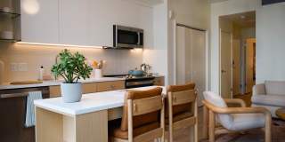 Allied Harbor Point Gallery 31