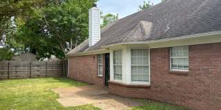 9532 Chi Chi Cv Gallery 23