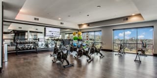 Aura Thirty2 Aura Thirty2 Gallery 11