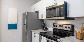 Lucerne at Lake Brandon Apartments Gallery 4