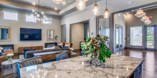 Palladium Farmersville Gallery 21