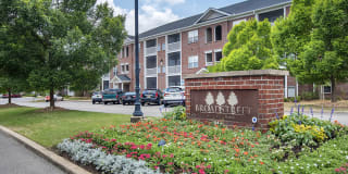 Broadstreet at East Chase Broadstreet at East Chase Gallery 1