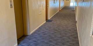 Ogden Arms Gallery 6