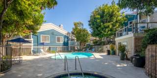 Harborview Gallery 11