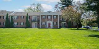 The Dorchester Gallery 18