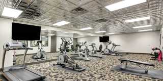The Artiste Apartment Homes Gallery 17