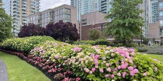 1 SHORE LANE Gallery 6