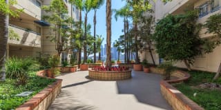 Skyline Terrace Apartments Gallery 3