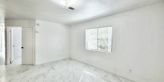 PS T 66369 Gallery 7