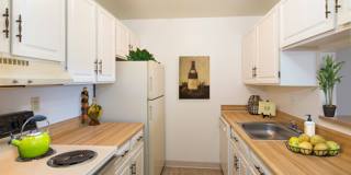 Fountain Gardens Gallery 7