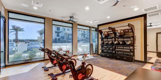 Maverick Gallery 167