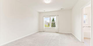 41715 MCMONAGLE Square Gallery 25