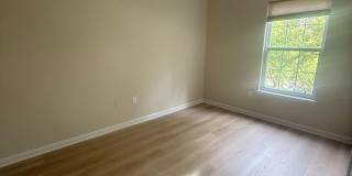 47403 DARKHOLLOW FALLS Terrace Gallery 15