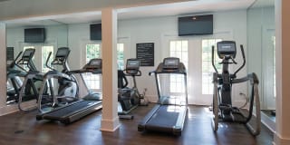 Alister Quincy Gallery 20