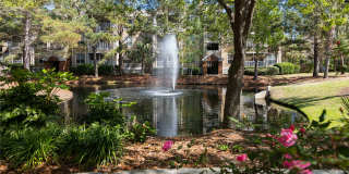 Avana Long Point Gallery 16