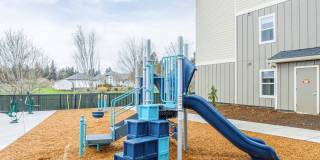 The Jax Apartments Gallery 4