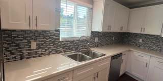 4356 Alamo Dr 4356 Alamo Dr Gallery 1