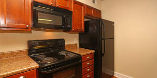 bg0414 Gallery 1