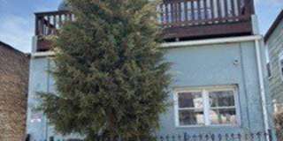 4519 W Thomas Street Gallery 1