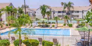 Palm Court Apartment Homes Gallery 4