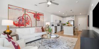 Sweetwater Town Center Gallery 9