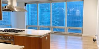 1244 Square foot, luxury condo in Lakeshore East, Chicago Gallery 4
