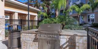 RIZE at Winter Springs Gallery 31