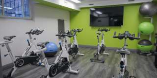 Robert Frost Gallery 14