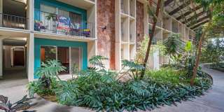 Kona Kai Gallery 6