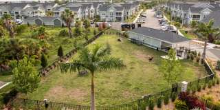 Palm Grove Gallery 48