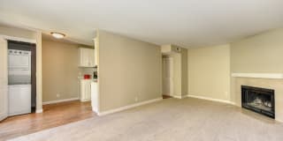 Madison Bellevue Gallery 37