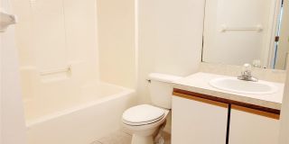 6410 CYPRESSDALE DRIVE Gallery 14