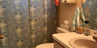 Bring your dog!  2 bedroom, 2 bath, Single family home in South Venice Gallery 28