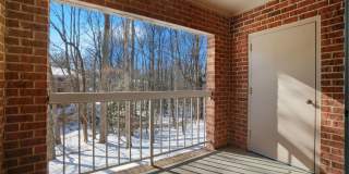 5902 COVE LANDING Road unit: 203 Gallery 11