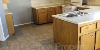 217 North Wilson Avenue - E Gallery 2