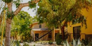 Polo Villas Gallery 7