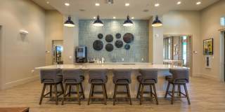 Lakeside Walk Gallery 8