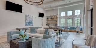 Tacara at Stone Oak Gallery 16