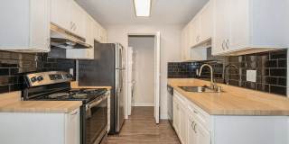 ReNew Dash Point Gallery 36