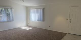 2946 W Ring Tail Drive Gallery 11