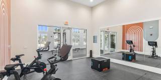 Eastshore Palm Bay Gallery 24