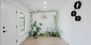 221 Palm Street Gallery 7