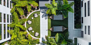 Aster & Links Gallery 7