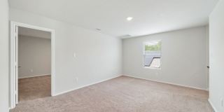 10135 Braun Cloud Gallery 27