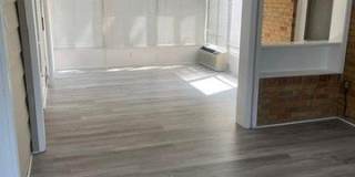 253 Turf Gallery 12