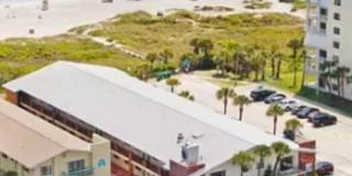 22 Tulip Avenue Gallery 2