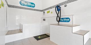 Hawthorne at Weaverville Gallery 26