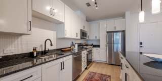 Taryn at 401 Gallery 21